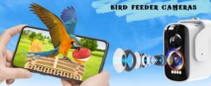Bird Feeder Cameras Best Picks & Buying Guide