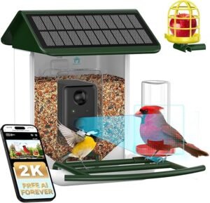 "smart feeder without subscription — automatic pet food dispenser"