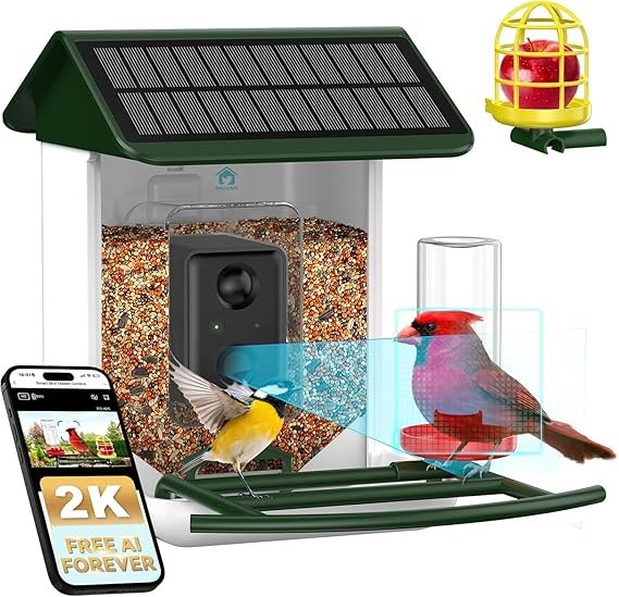 "smart feeder without subscription — automatic pet food dispenser"